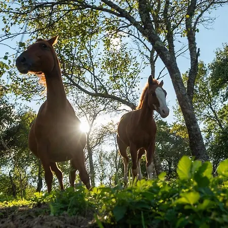Horse Whispering Ranch Apartma * イリルスカ・ビストリツァ