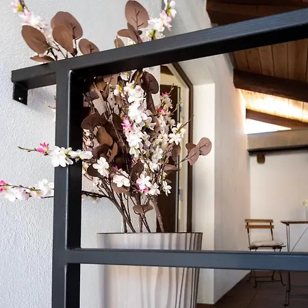アパート Horse Whispering Ranch Apartma *