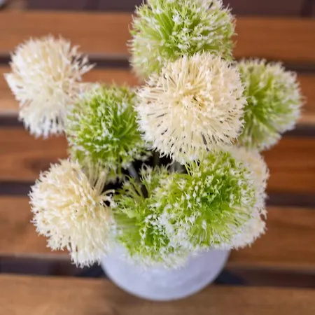 Horse Whispering Ranch Apartma شقة إليرسكا بسترتشا