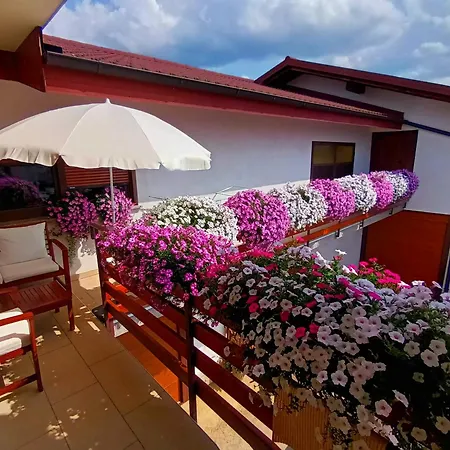 アパート Horse Whispering Ranch Apartma *