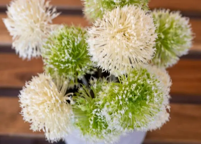 Horse Whispering Ranch Apartma Διαμέρισμα Ilirska Bistrica